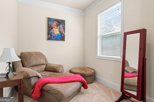 2844 Bluestone Dr SW, South Fulton, GA 30331 - sitting room featuring carpet and ornamental molding