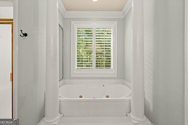 9125 Patrick Pl, Winston, GA 30187 - full bathroom with ornamental molding and a jetted tub
