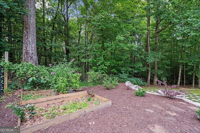 9125 Patrick Pl, Winston, GA 30187 - view of yard featuring a garden