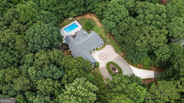 9125 Patrick Pl, Winston, GA 30187 - aerial view of property's location featuring a pool