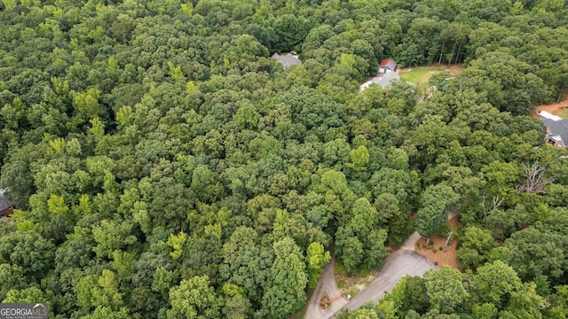 9125 Patrick Pl, Winston, GA 30187 - aerial view of property's location with a heavily wooded area