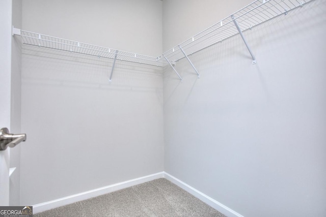 117 Greenview Ct Unit 1302, Homer, GA 30547 - spacious closet with carpet flooring