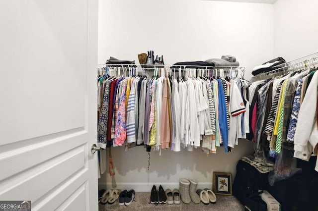 5744 Cypress Bluff Ln, Hoschton, GA 30548 - walk in closet with carpet floors