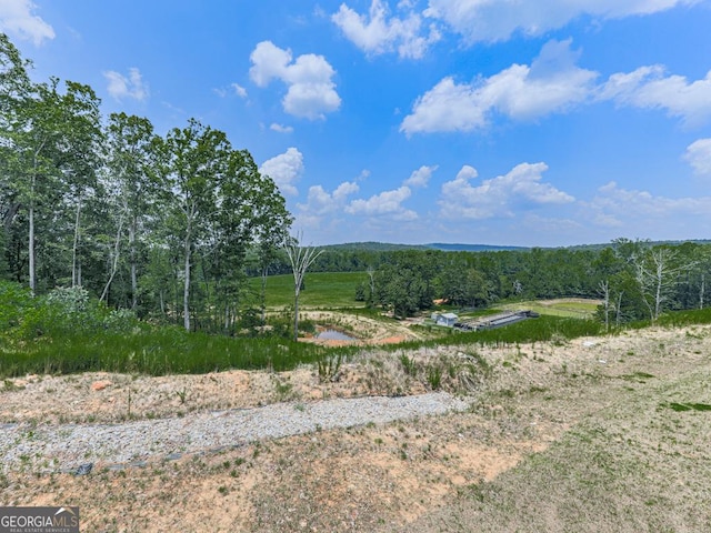 520 Pemberton St, Euharlee, GA 30145 - view of mountain backdrop