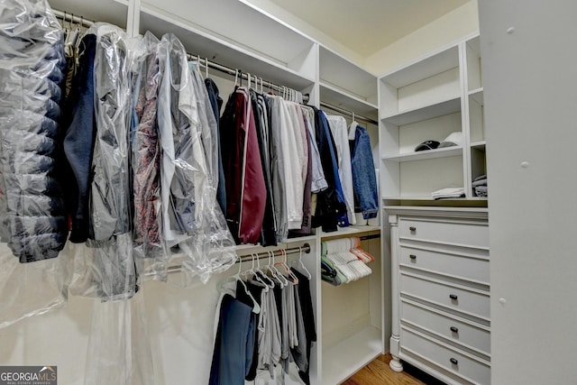 8230 Royal Melbourne Way, Duluth, GA 30097 - walk in closet with wood finished floors
