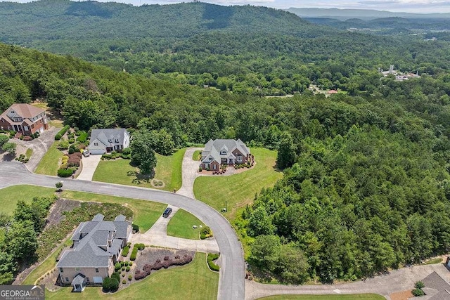 262 Pinnacle Pointe Dr, Rocky Face, GA 30740 - view of property location with a forest and a mountain backdrop