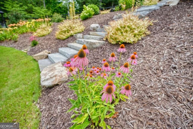 287 Flower Farm Dr, Acworth, GA 30101 - view of yard