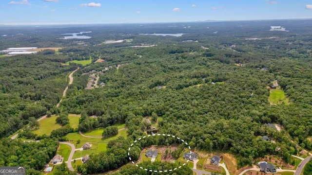 287 Flower Farm Dr, Acworth, GA 30101 - aerial overview of property's location featuring a forest