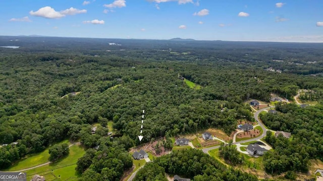287 Flower Farm Dr, Acworth, GA 30101 - aerial view of property and surrounding area featuring a heavily wooded area