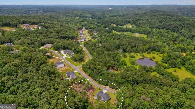 287 Flower Farm Dr, Acworth, GA 30101 - aerial view of property and surrounding area with a forest and a nearby body of water