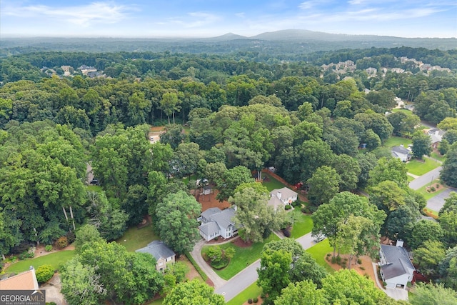 1655 Oak Crest Ct, Marietta, GA 30066 - bird's eye view of a forest
