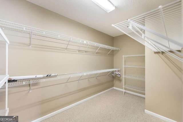 132 Hidden Creek Cir, Lizella, GA 31052 - spacious closet with carpet
