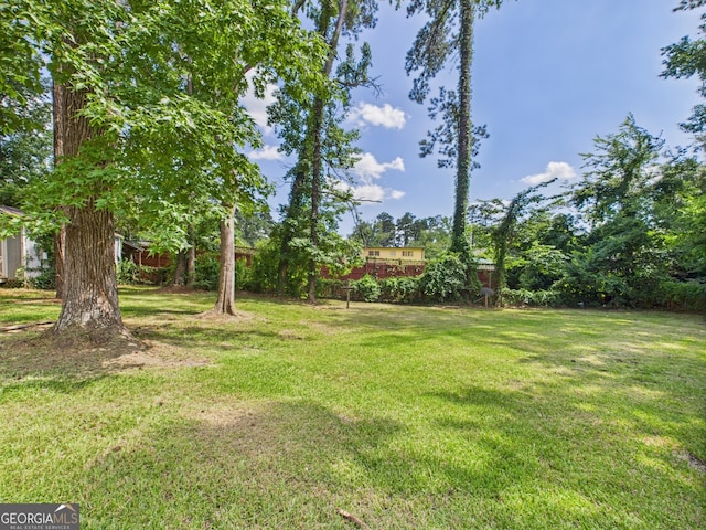 4630 Glenwood Dr, Macon, GA 31210 - view of grassy yard