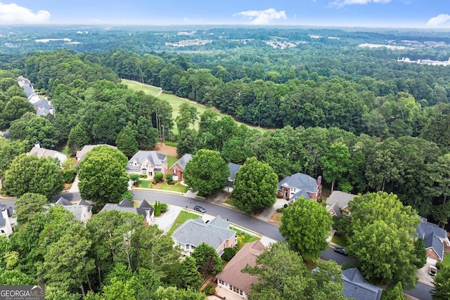 1065 Beacon Hill Xing, Alpharetta, GA 30005 - aerial perspective of suburban area with a forest