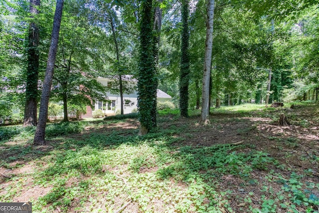 5491 Hiram Rd, Powder Springs, GA 30127 - view of yard