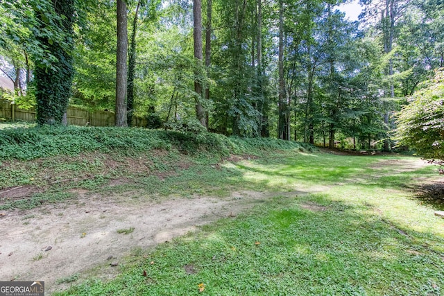 5491 Hiram Rd, Powder Springs, GA 30127 - view of yard