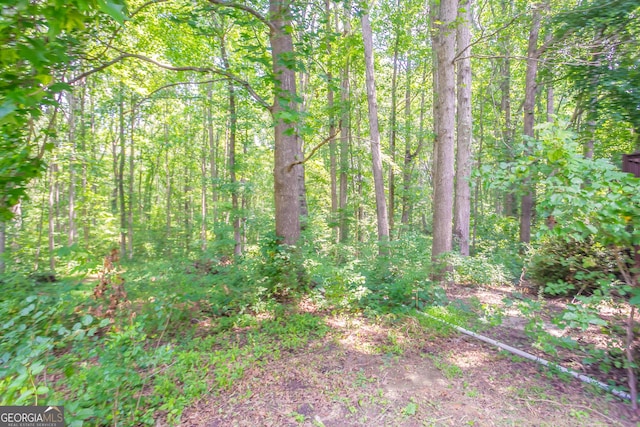 356 Waterway Trl, Powder Springs, GA 30127 - view of woods