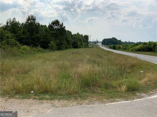 HWY51 Owl Hollow Rd, Carnesville, GA 30521