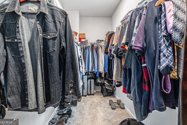 154 Laurel Cove Dr, Hoschton, GA 30548 - walk in closet featuring carpet