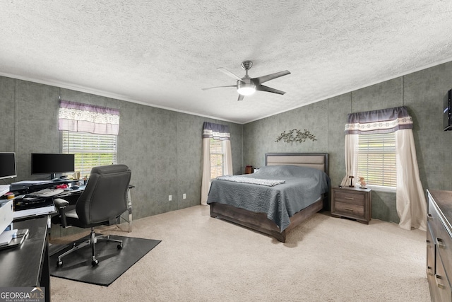 329 Summer Glen Rd, Dahlonega, GA 30533 - bedroom with multiple windows, a desk, and carpet