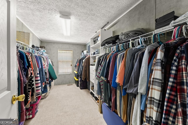 329 Summer Glen Rd, Dahlonega, GA 30533 - spacious closet featuring carpet floors