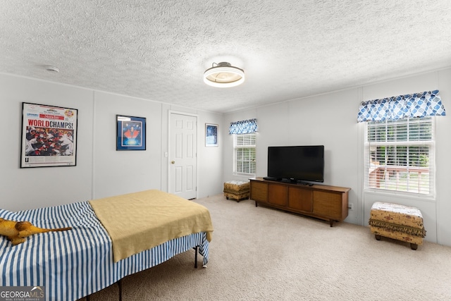 329 Summer Glen Rd, Dahlonega, GA 30533 - bedroom featuring multiple windows, carpet floors, a closet, and a textured ceiling