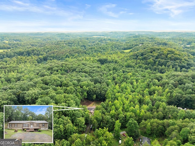 329 Summer Glen Rd, Dahlonega, GA 30533 - view from above of property with a forest and property parcel outlined