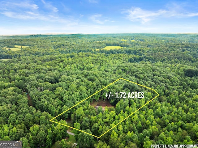 329 Summer Glen Rd, Dahlonega, GA 30533 - aerial view of property's location featuring a forest and property parcel outlined