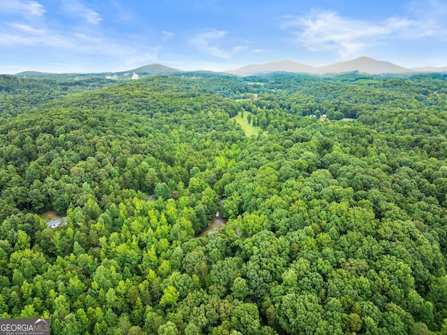 329 Summer Glen Rd, Dahlonega, GA 30533 - aerial view of a mountain backdrop and a forest