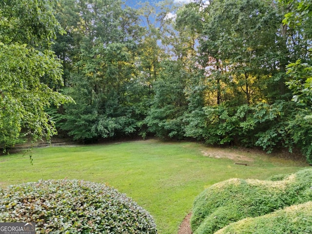 2118 Chatham, Dalton, GA 30720 - view of green lawn