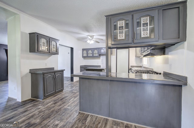 1525 Bailey Rd, Aragon, GA 30104 - kitchen featuring dark wood-type flooring, a peninsula, glass insert cabinets, and a textured ceiling