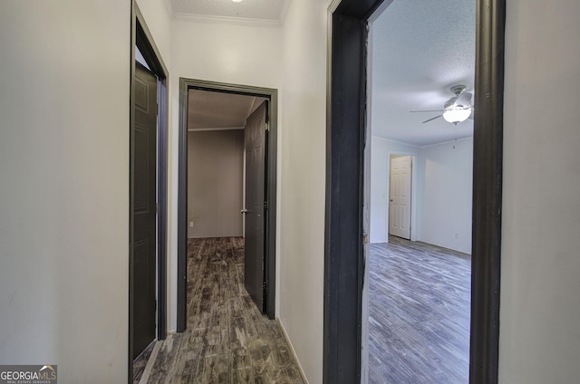 1525 Bailey Rd, Aragon, GA 30104 - hallway with ornamental molding, a textured ceiling, and dark wood-style flooring