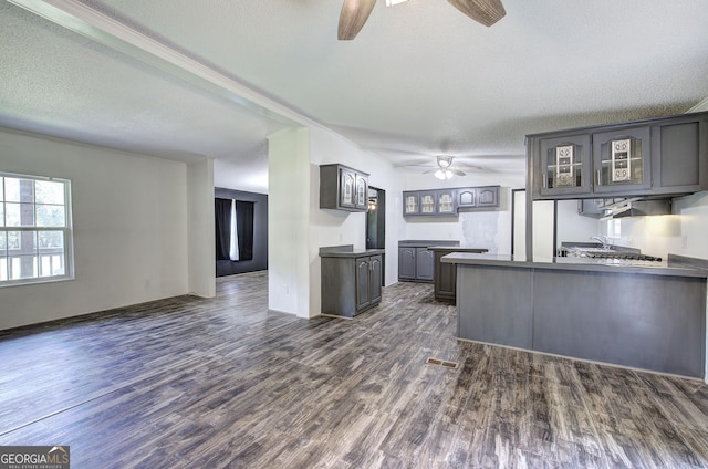 1525 Bailey Rd, Aragon, GA 30104 - kitchen with ceiling fan, a peninsula, glass insert cabinets, a textured ceiling, and dark wood-type flooring