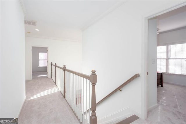 2516 Woolwich Ct, Acworth, GA 30101 - corridor featuring an upstairs landing, carpet flooring, and ornamental molding