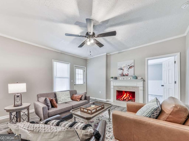79 Hillside St, Nelson, GA 30151 - living room with wood finished floors, ceiling fan, a textured ceiling, ornamental molding, and a lit fireplace