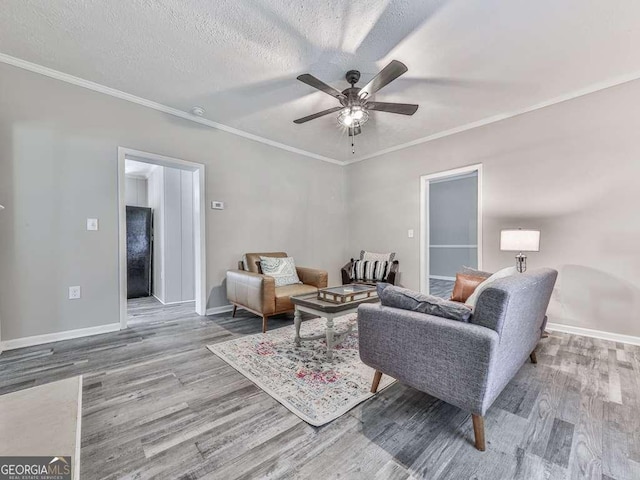 79 Hillside St, Nelson, GA 30151 - living area with wood finished floors, ceiling fan, and crown molding