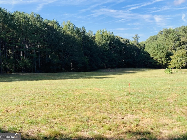 1682 Mineral Springs Rd, Hoschton, GA 30548 - view of green lawn with a view of trees