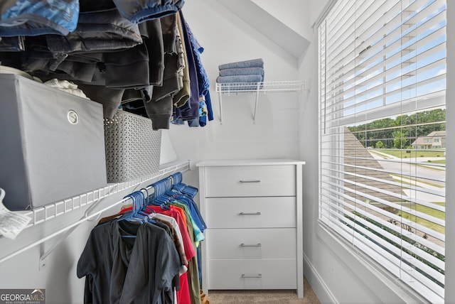 1145 Summerfield Ln, Bogart, GA 30622 - walk in closet featuring carpet flooring