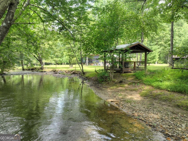 211 Rockhouse Rd, Cherry Log, GA 30522 - water view