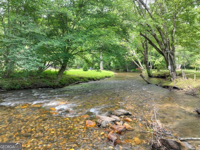 211 Rockhouse Rd, Cherry Log, GA 30522 - view of yard