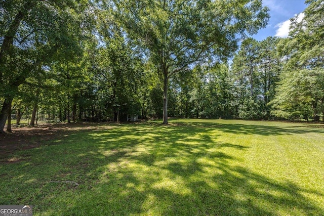 171 Loraine Forest Dr, Macon, GA 31210 - view of green lawn