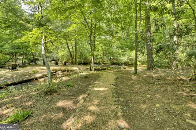 251 Rockhouse Rd, Cherry Log, GA 30522