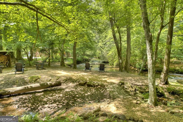 251 Rockhouse Rd, Cherry Log, GA 30522
