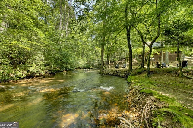251 Rockhouse Rd, Cherry Log, GA 30522