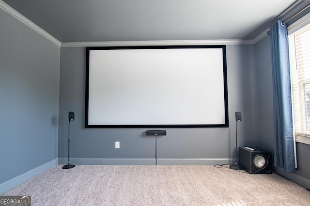 776 Fleeting Way, Monroe, GA 30655 - cinema featuring carpet and ornamental molding