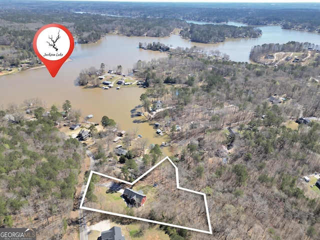 230 Thorpe Rd, Jackson, GA 30233 - view of property location featuring a nearby body of water and property parcel outlined