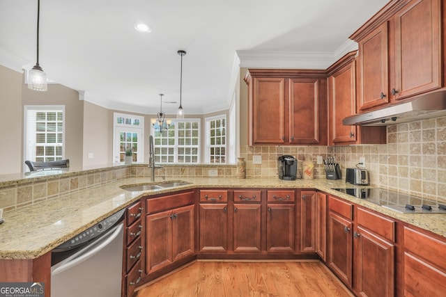 204 Carmell Ct, Mcdonough, GA 30252 - kitchen featuring stainless steel dishwasher, black electric cooktop, under cabinet range hood, ornamental molding, and light wood-type flooring