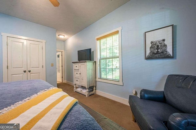 104 Buck Run E, Dahlonega, GA 30533 - bedroom featuring carpet, vaulted ceiling, ceiling fan, and a textured ceiling