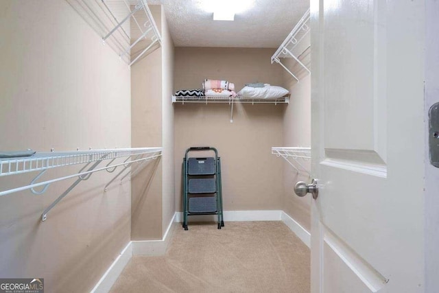 104 Buck Run E, Dahlonega, GA 30533 - spacious closet with light carpet