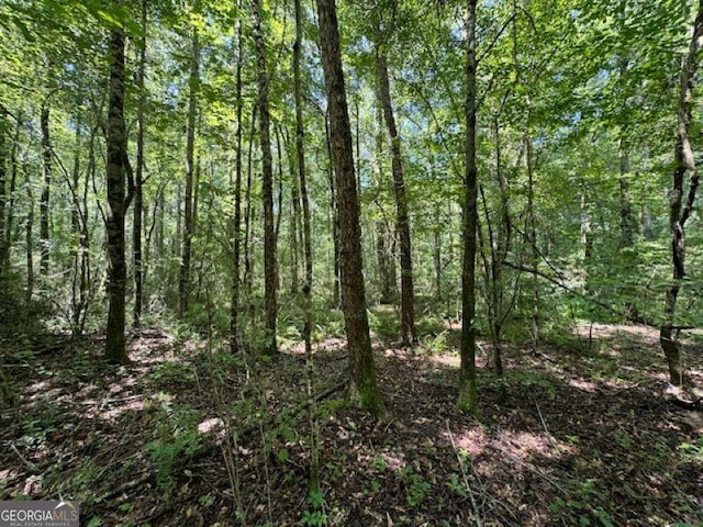 00 Old Columbus Rd, Bowdon, GA 30108